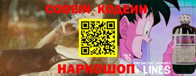 крисы Шебекино