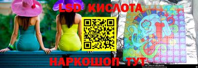 крисы Шебекино