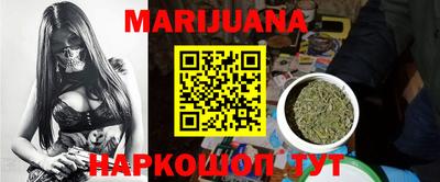 крисы Шебекино
