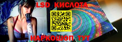 крисы Шебекино