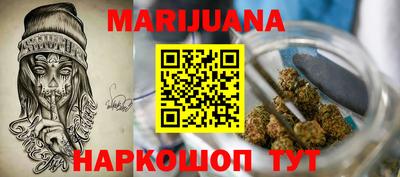 крисы Шебекино
