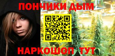 крисы Шебекино