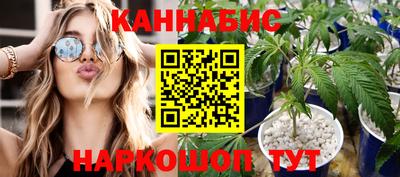 крисы Шебекино
