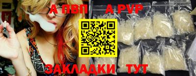 крисы Шебекино