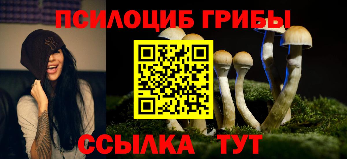 Псилоцибиновые грибы Psilocybine cubensis  Галлюциногенные грибы MAGIC MUSHROOMS  Благодарный  Вход с VPN 