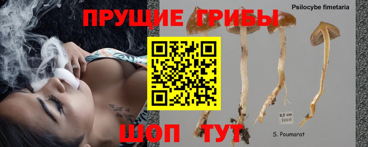 Галлюциногенные грибы мухоморы Благодарный